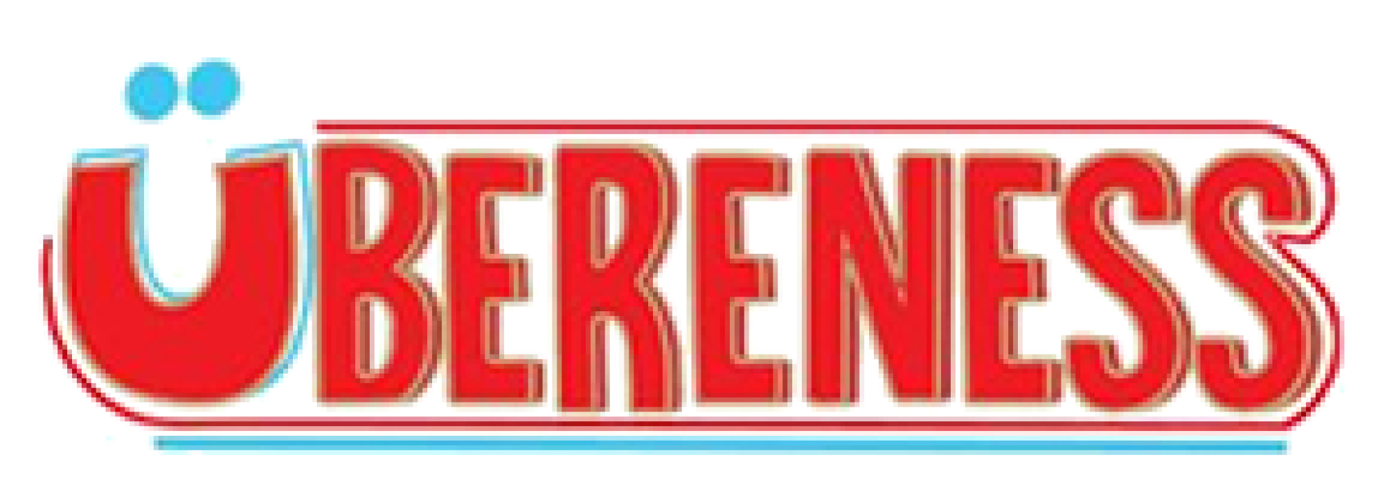 Partner 6