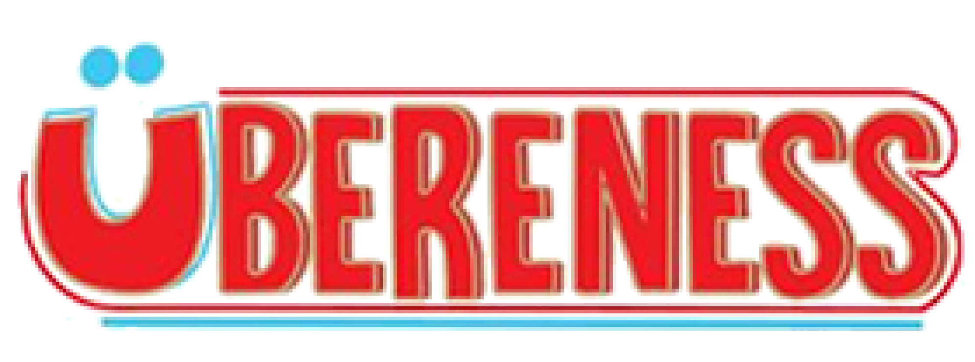 Partner 6